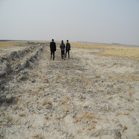 盐碱地改良种植水稻—2012年吉林白城镇赉县盐碱地种植水稻（开荒、打井、插秧、生长和成熟全过程记录）(图2)