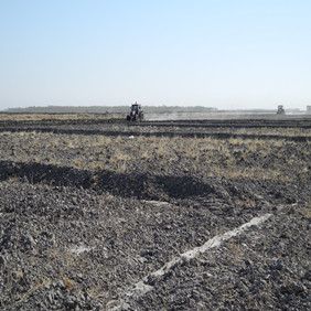 盐碱地改良种植水稻—2012年吉林白城镇赉县盐碱地种植水稻（开荒、打井、插秧、生长和成熟全过程记录）(图6)