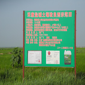 盐碱地改良种植水稻—2012年吉林白城镇赉县盐碱地种植水稻（开荒、打井、插秧、生长和成熟全过程记录）(图10)