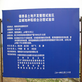 2010年吉林盐碱地改良种稻示范(图1)