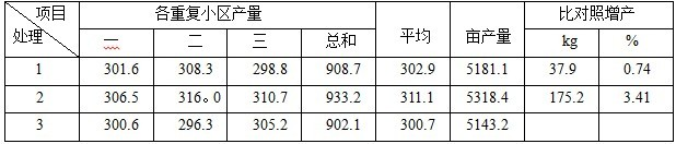 盐碱地种植加工番茄施用禾康试验（新疆昌吉，番茄）(图2)