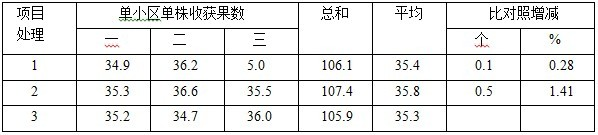 盐碱地种植加工番茄施用禾康试验（新疆昌吉，番茄）(图5)