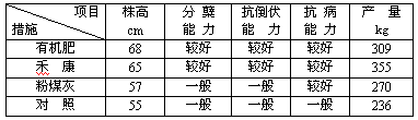 盐碱地种小麦禾康改良试验（新疆克拉玛依，小麦）(图1)