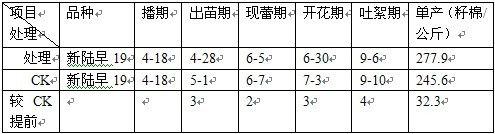 盐碱地种植棉花施用禾康盐碱土壤改良剂试验结(图5)