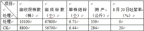 盐碱地种植棉花施用禾康盐碱土壤改良剂试验结(图4)